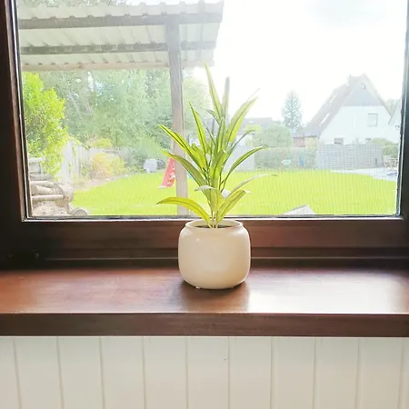 X - 2 In Idyllischer Und Zentraler Lage Lägenhet *